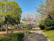 黒沢台第一公園