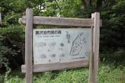 黒沢池市民の森