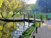 藤崎森林公園