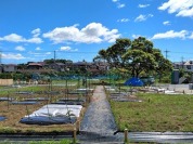 東道野辺市民農園
