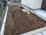 土地が広いので、戸建の醍醐味、広々としたお庭もございます。